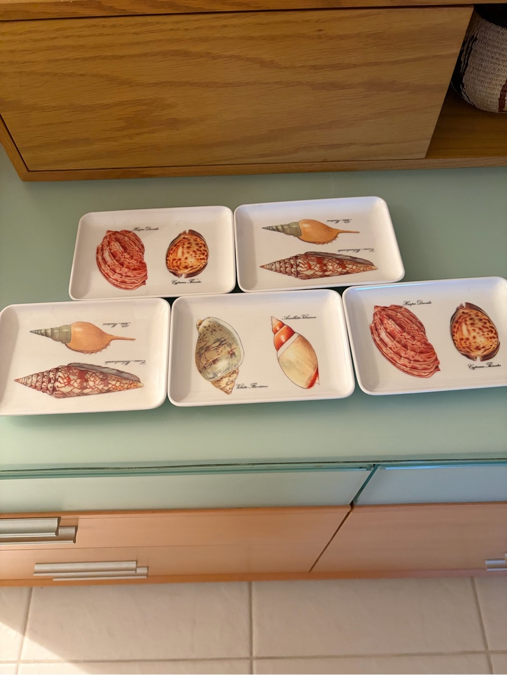 Seashell plasticSnack Trays - Set of 5 (White)